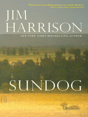 Sundog - ebook